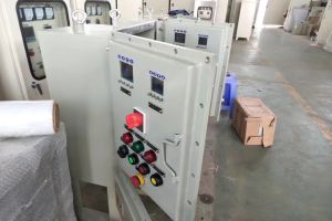 多路防爆溫度控制柜-揚州達(dá)瑞有限公司